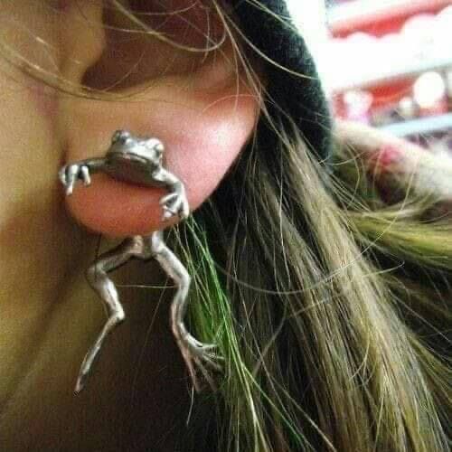 Silver Frog Earrings